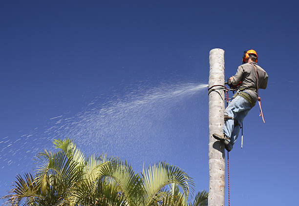 Best Commercial Tree Services  in , NJ